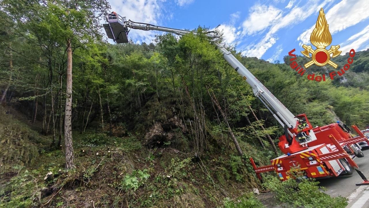 Piante e detriti sulla sede stradale, l’intervento dei Vigili del Fuoco a Idro