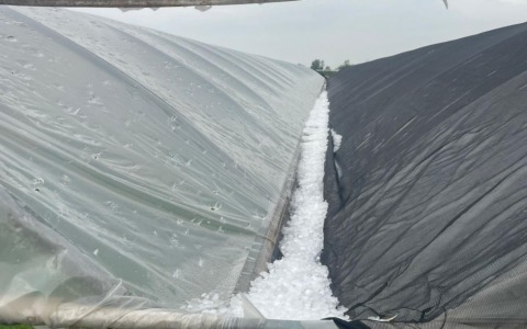 Violenta ondata di maltempo, danni a campagne e aziende agricole