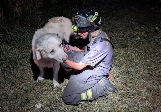 Alberi caduti, guasti e un cane ferito: notte di lavoro per i Vigili del fuoco di Edolo