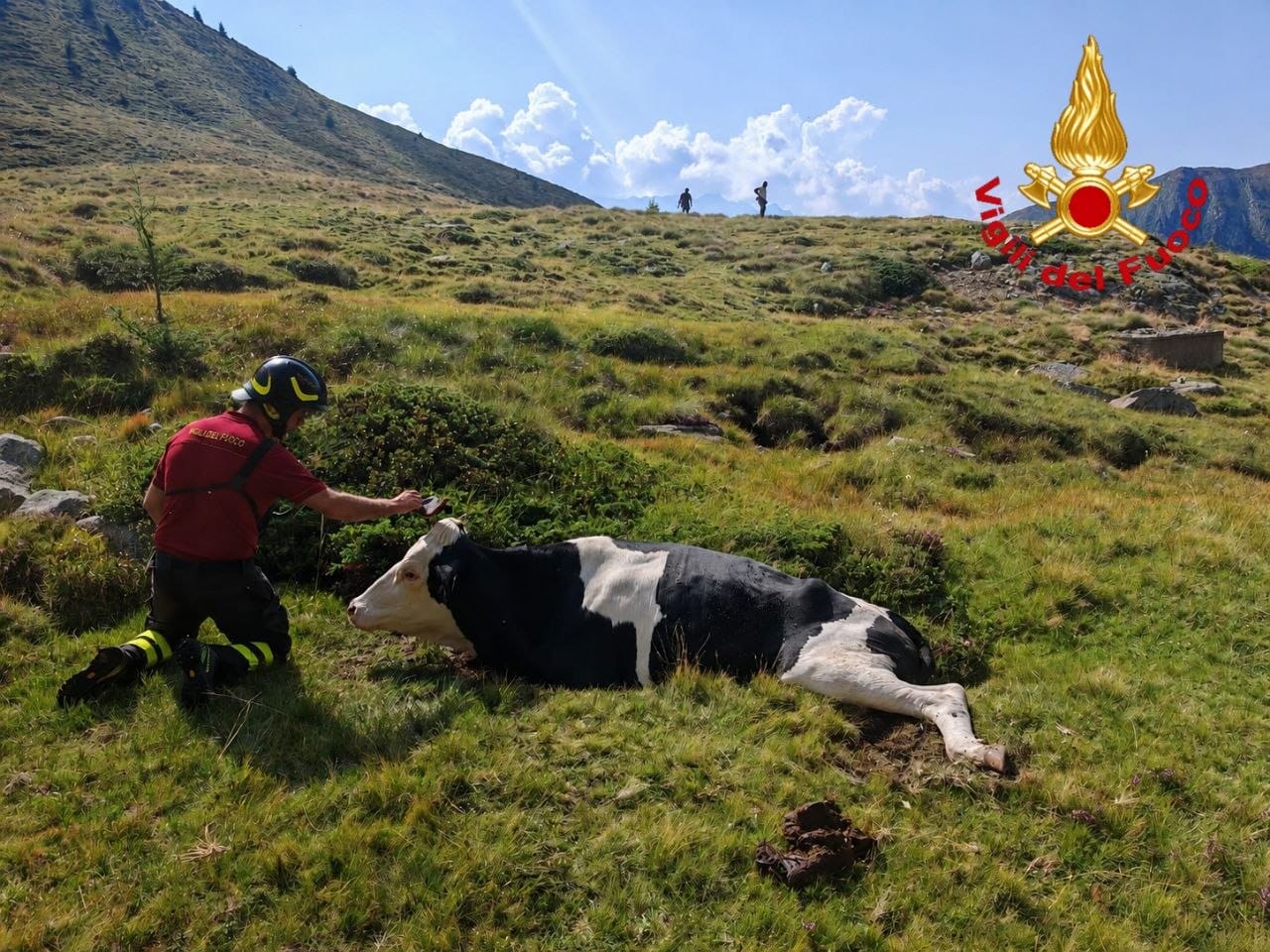 Incudine, bovino ferito sopra Malga Salina recuperato con l’elicottero