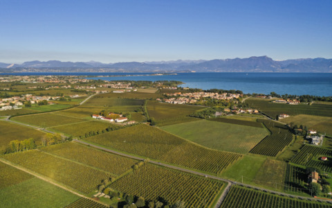 A Sirmione arriva la prima edizione del Lugana Festival