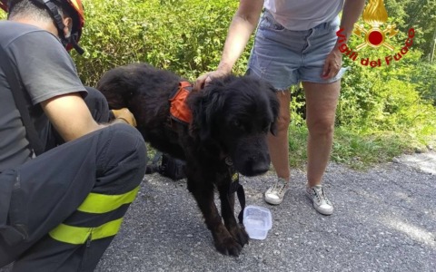 “Charly non si trova”: i Vigili del Fuoco recuperano il cane di un gruppo di turisti