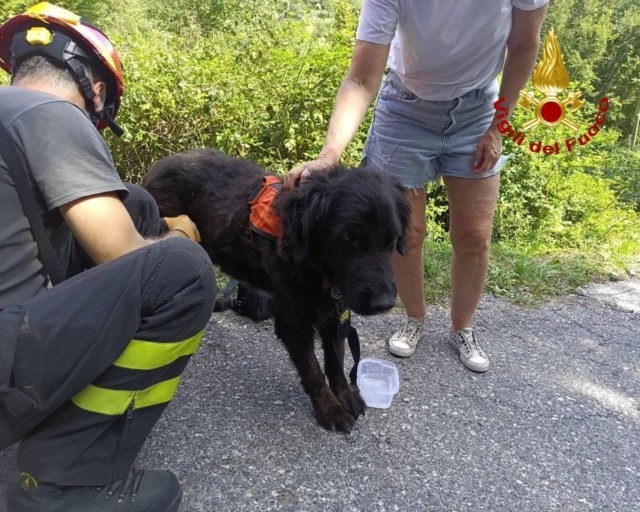 “Charly non si trova”: i Vigili del Fuoco recuperano il cane di un gruppo di turisti