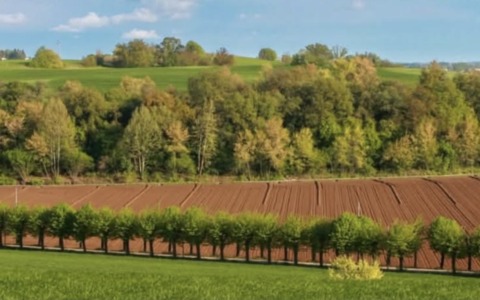 Raccolta fondi: Legambiente e Comitato Colline Moreniche chiedono un sostegno