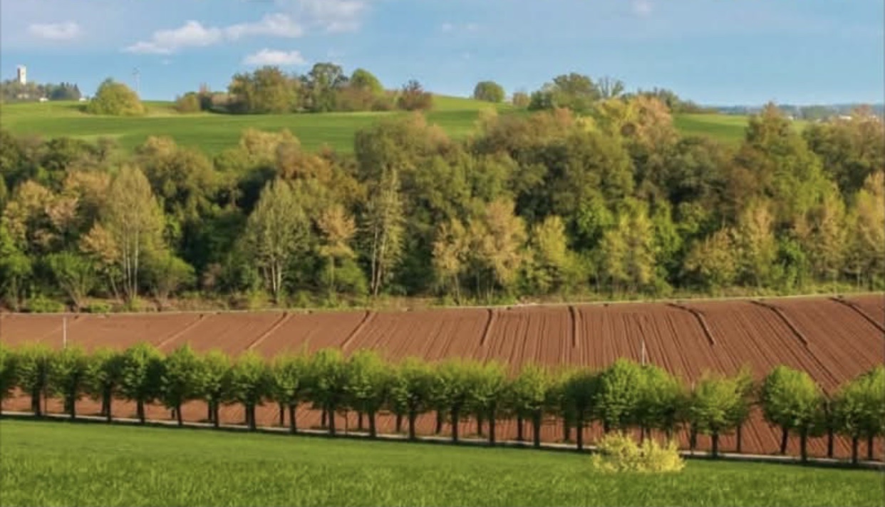 Raccolta fondi: Legambiente e Comitato Colline Moreniche chiedono un sostegno