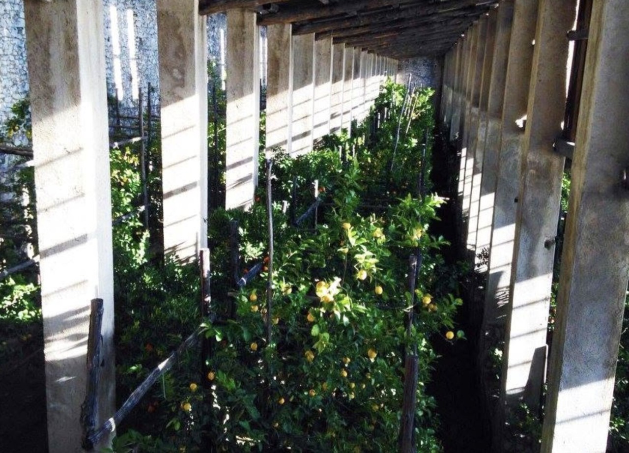Limonaia Pra dela Fam chiusa dopo i danni causati dal maltempo