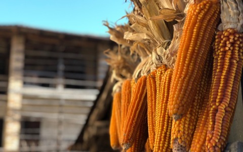 A Gandino sono i Giorni del Melgotto: tra capù, baghèt e folklore, si gusta un’eccellenza antica