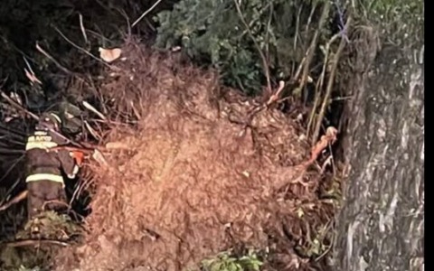 Maltempo sul Garda: a Tignale traffico in tilt, strada poi riaperta