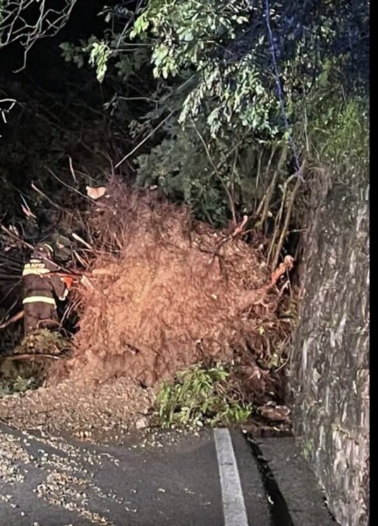 Maltempo sul Garda: a Tignale traffico in tilt, strada poi riaperta