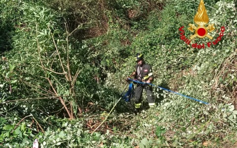 49esimo Rally 1000 Miglia sospeso dopo l’incidente che è costato la vita ad uno spettatore