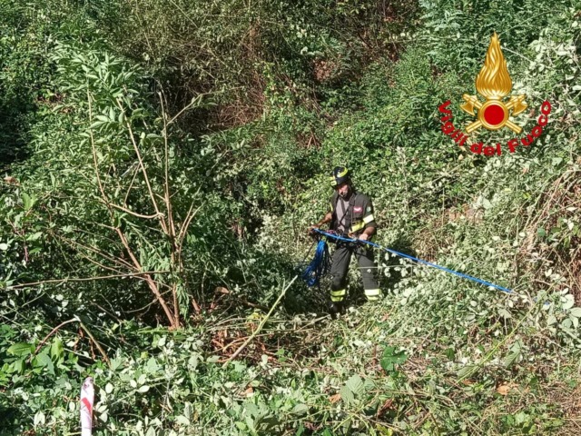 49esimo Rally 1000 Miglia sospeso dopo l’incidente che è costato la vita ad uno spettatore