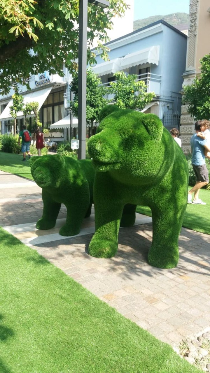 Salò Botanica torna a riempire di colore la città benacense