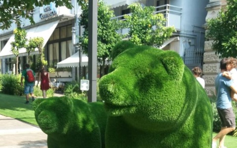 Salò Botanica torna a riempire di colore la città benacense