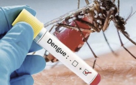 Virus Dengue: annullato l’intervento di disinfestazione in vicolo dell’Inganno