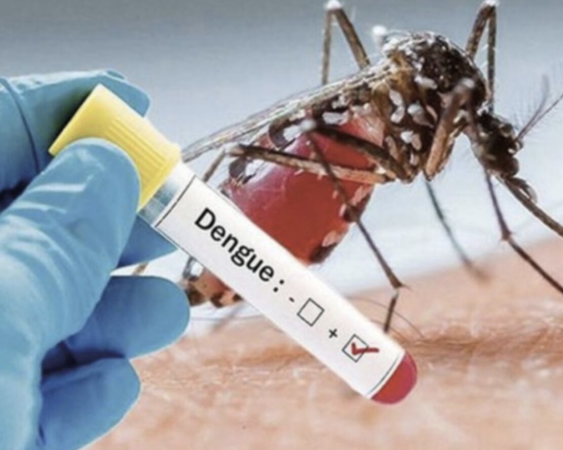 Virus Dengue: annullato l’intervento di disinfestazione in vicolo dell’Inganno