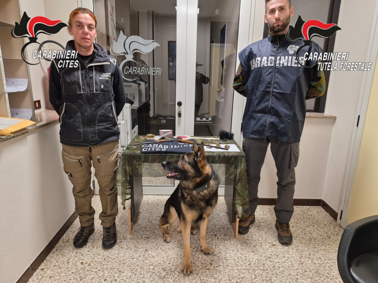 Operazione Pettirosso 2026: arresti ad Artogne e Nave per bracconaggio