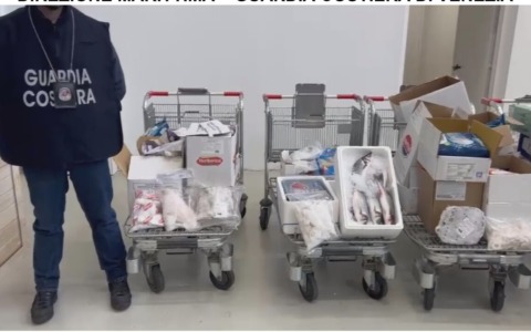 Pesce scaduto o non in regola, la Guardia Costiera sequestra 1,8 tonnellate di prodotti