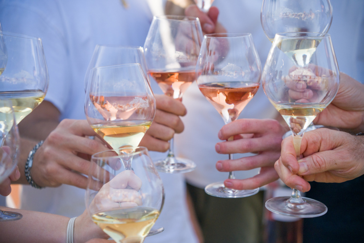 Profumi di Mosto 2026 chiude con oltre 2mila partecipanti