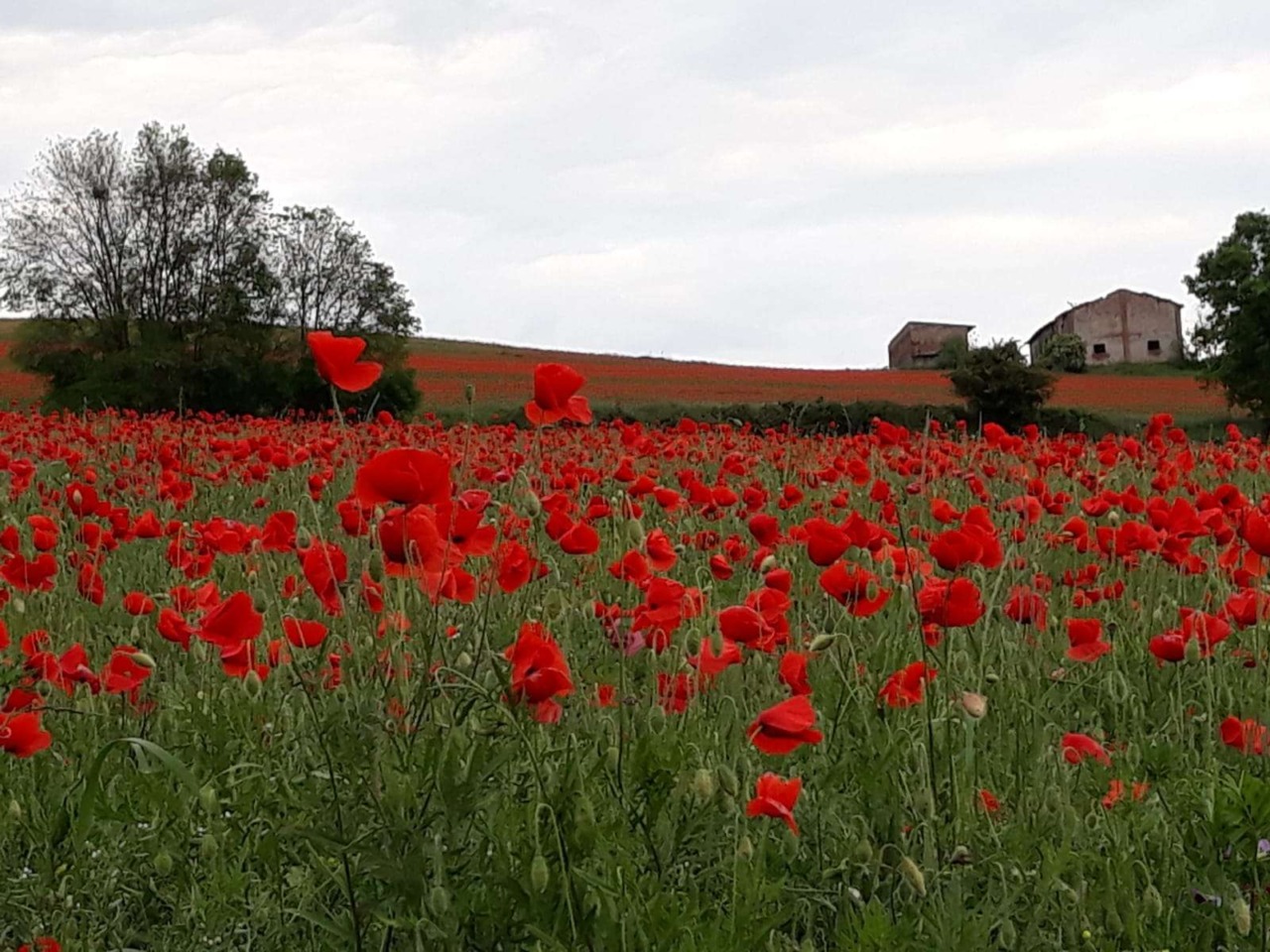 Ripensare il progetto del santuario delle Fontanelle: petizione su Change.org
